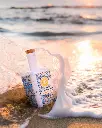 PalmaGinPraia.webp